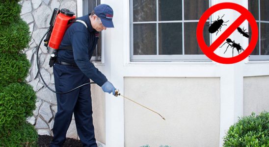 Köprüköy Böcek ve Haşere İlaçlama böcek ilaçlama ve haşere kontrolü — ilaclama-tr.com